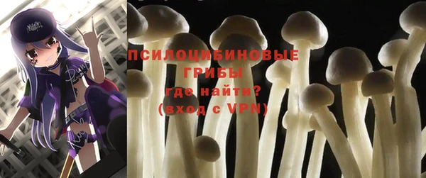 молекула духа Баксан