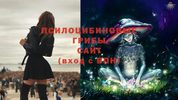 молекула духа Баксан