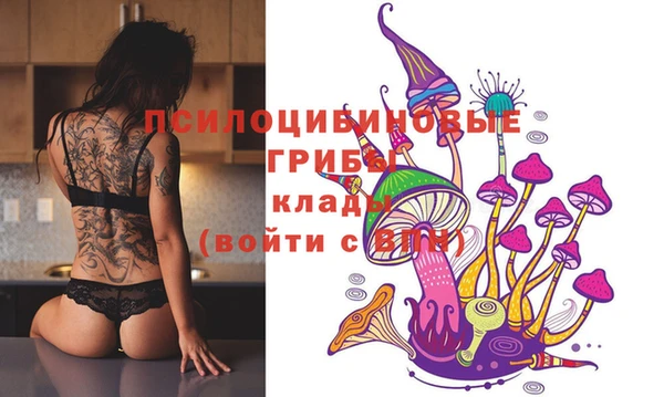 молекула духа Баксан