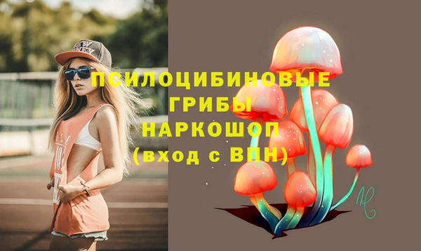 apvp Балахна