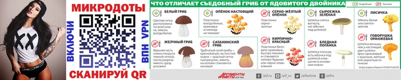 Псилоцибиновые грибы GOLDEN TEACHER  Купить закладки  Магнитогорск 